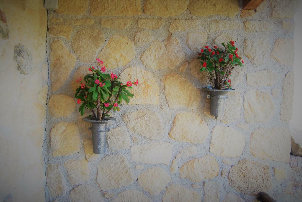 Olive Villas Kria Vrisi  Exterior photo