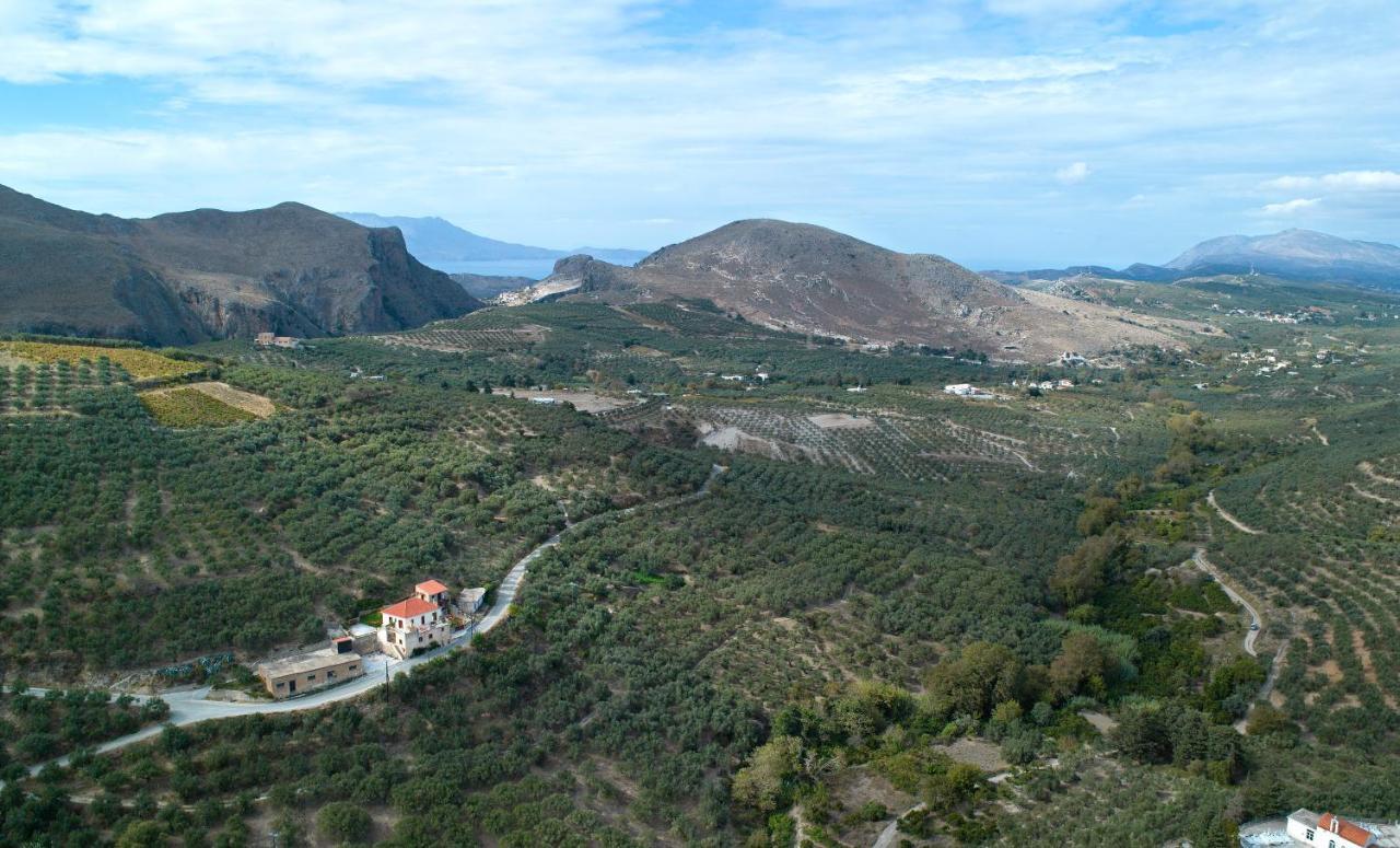 Olive Villas Kria Vrisi  Exterior photo